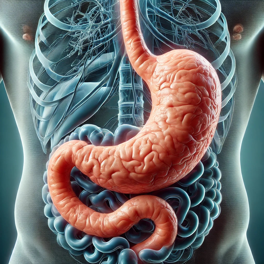 Multienzym 30 capsulas