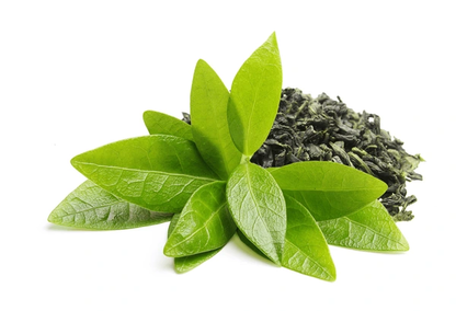 Té Verde